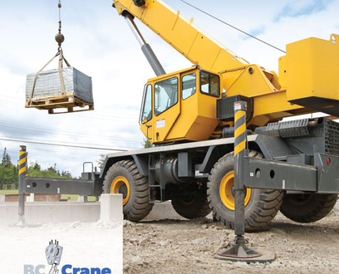 BC CraneAnnualReport r HiRes Page