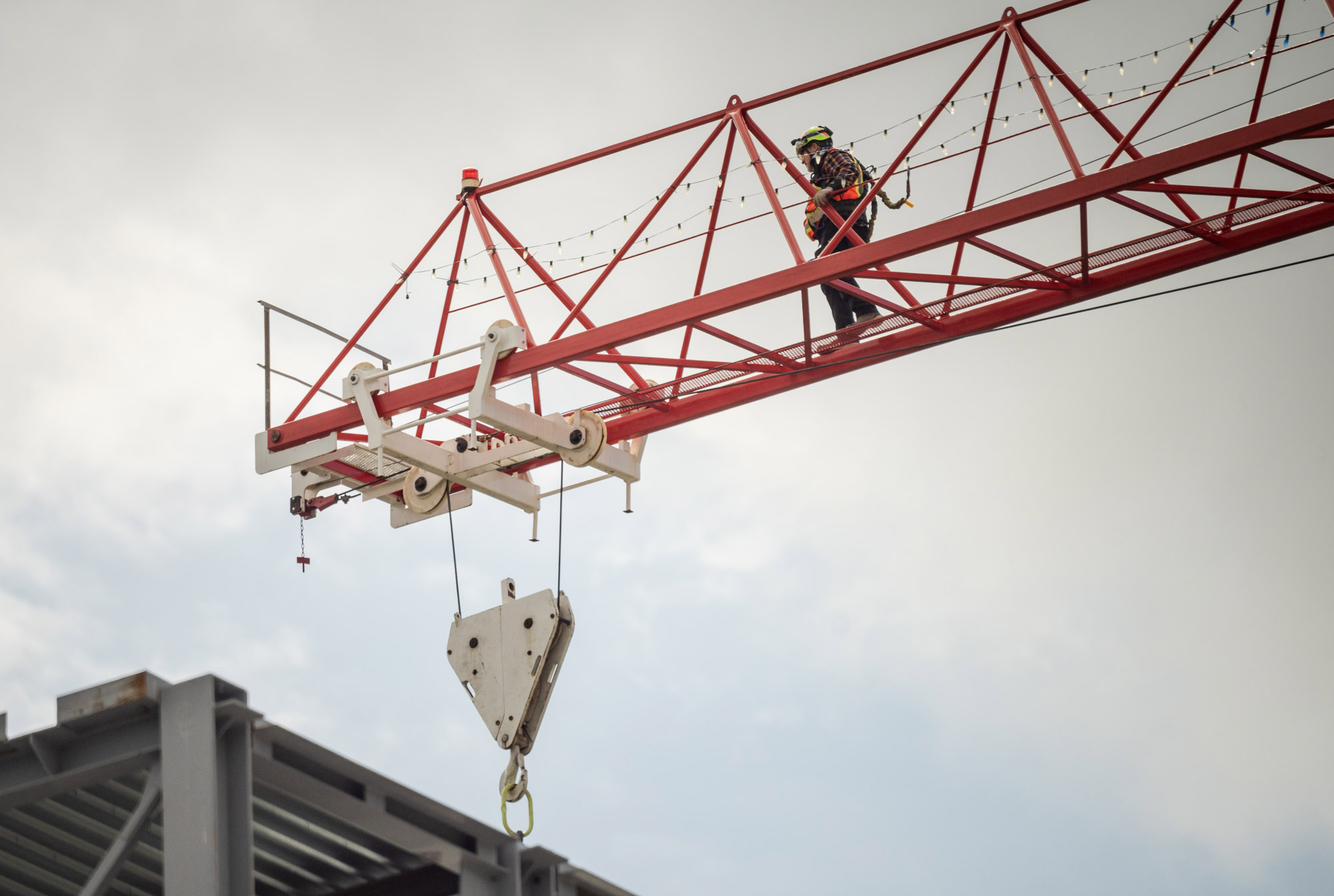 DSC cropped newsletter blog DSC cropped newsletter blog