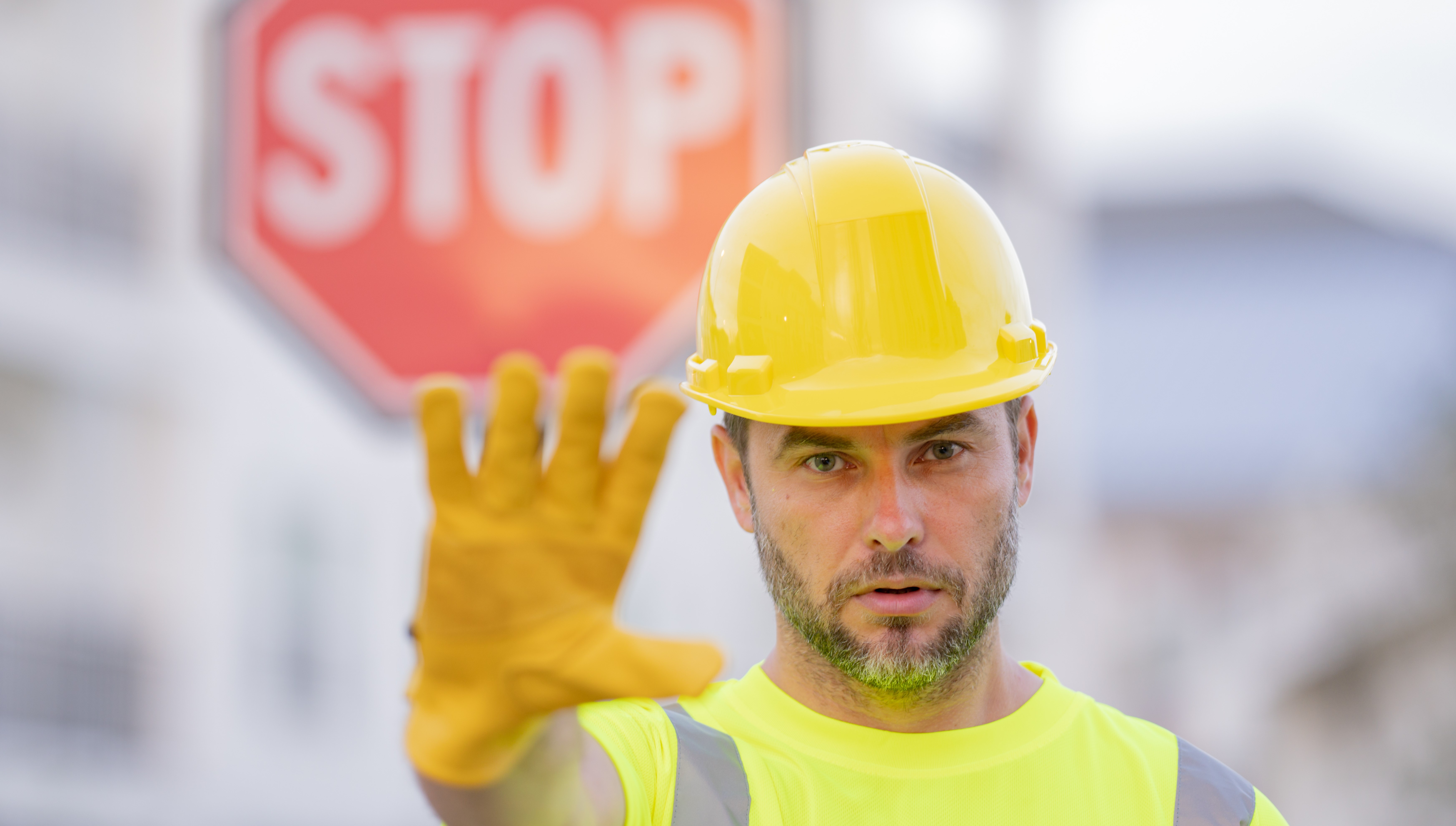 AdobeStock cropped AdobeStock cropped